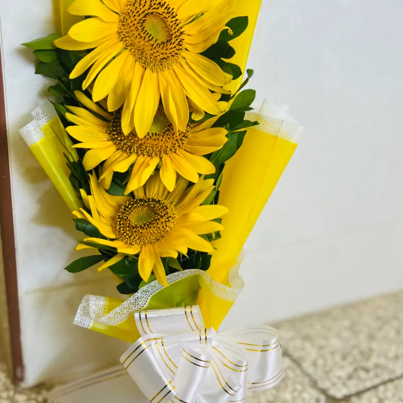 Girasoles 🌻 