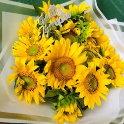 Girasoles 🌻 