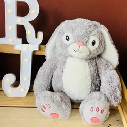 🐰