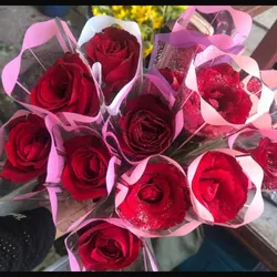 Príncipe Negro 🌹