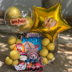 Regalo Harry Potter 