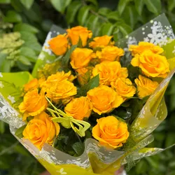 Rosas Amarillas 