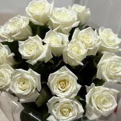 Rosas Importadas 