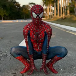 Spiderman 🕸️🕷️