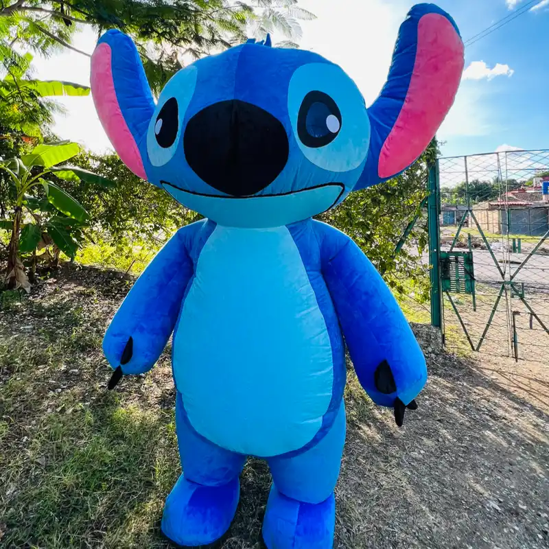 Stich 