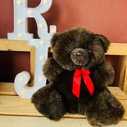 🐻