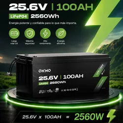 🔋 Batería de Litio 25.6V 100Ah