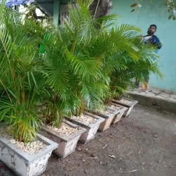 Arecas en rectangular de lajas 