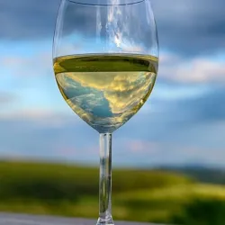 Botella Vino Blanco Entre Rios