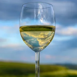Vino Hacienda Casa Valle