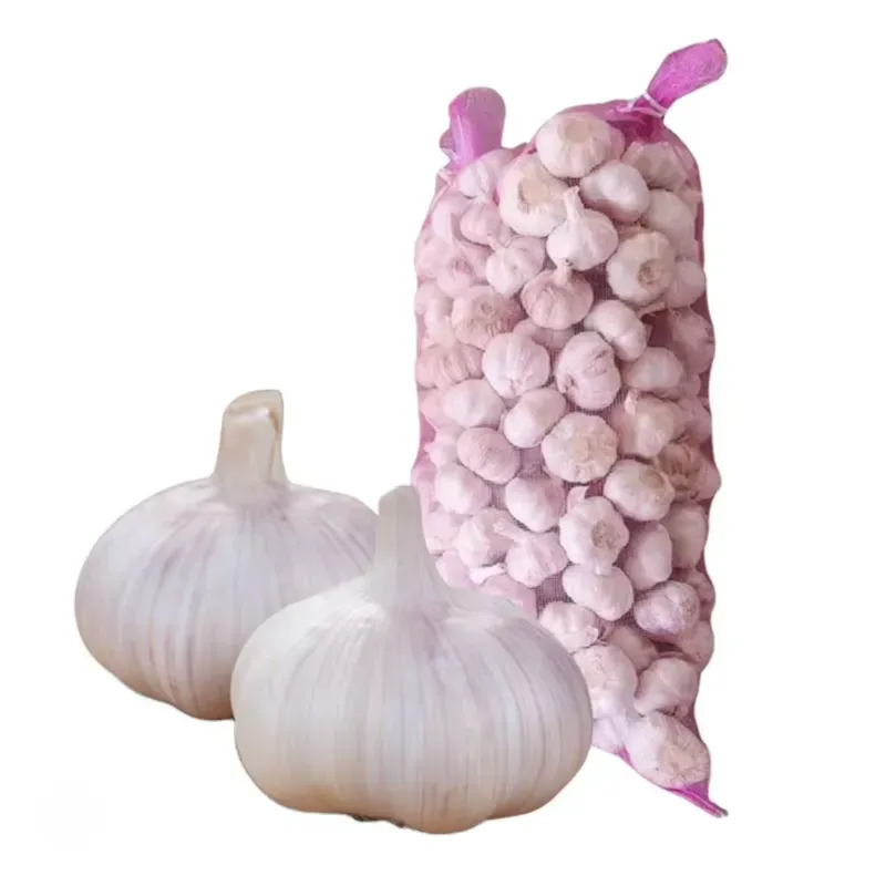 Bolsa de Ajo en Cabezas 