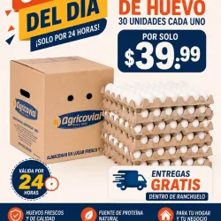 OFERTA HUEVOS