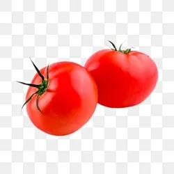 Tomate (LB)