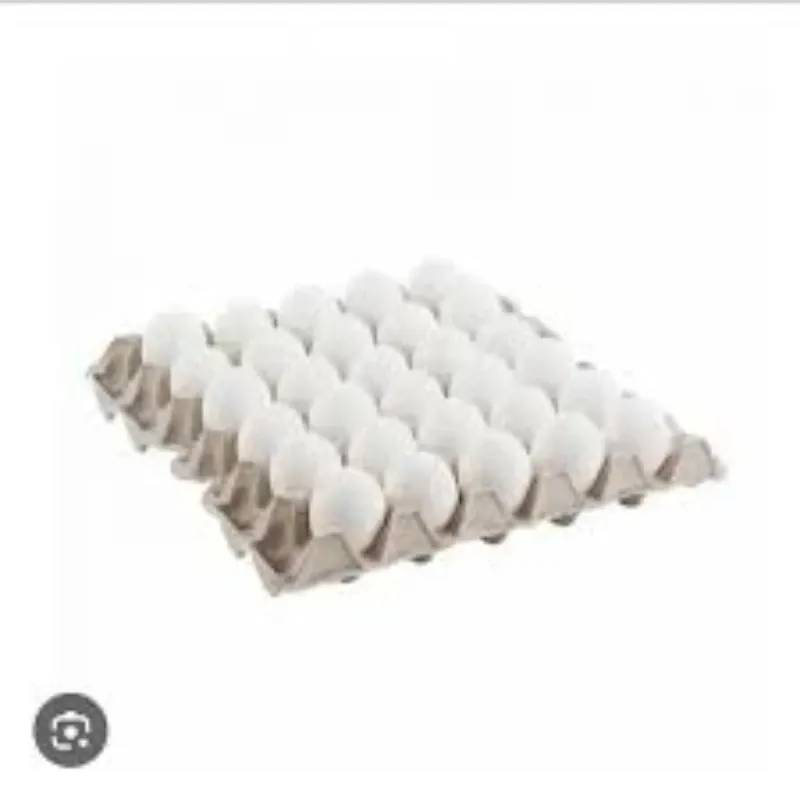 Fili de Huevos