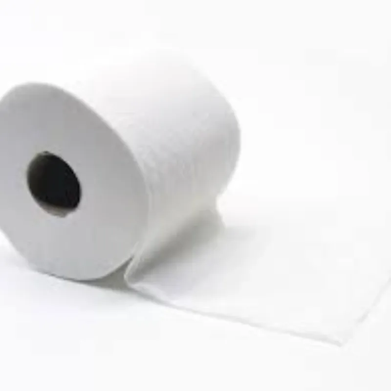 Papel Sanitario