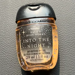 Into the Night