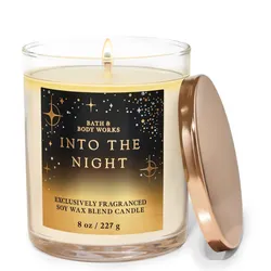 INTO THE NIGHT