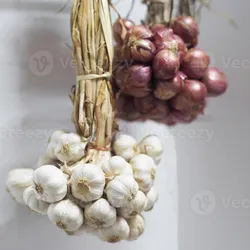 Garlic and onions