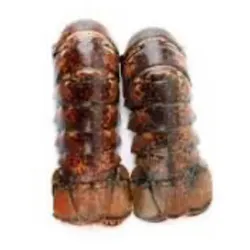 Langosta