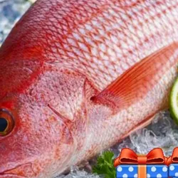 Pescado de Mar