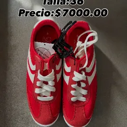Tenis