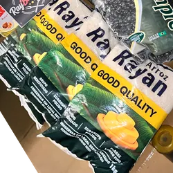 Arroz