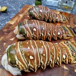 Langosta