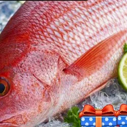 Pescado de mar