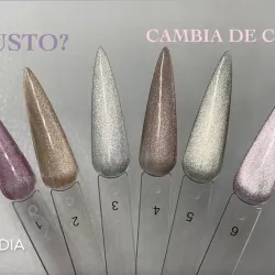 Ojo de gato Reactivo