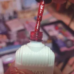 Pintura Xeijayi 15ml