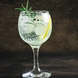 Gin Tonic
