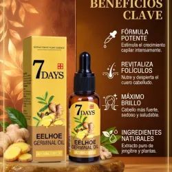 Aceite capilar de Jengibre💛