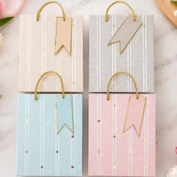 Bolsas de regalo 🛍