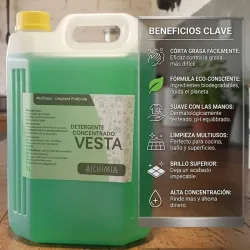 Detergente Concentrado Multiusos Vesta 5 Litros ✨🔖