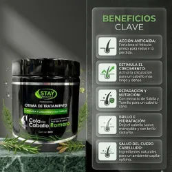 Mascarilla de Romero 800g
