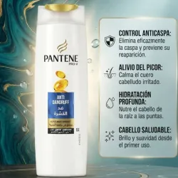 Pantene Pro-V – Anti-Dandruff 2 in 1