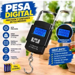 Pesa Digital