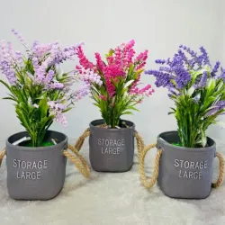 Plantica para decorar (Lavanda)