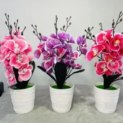 Plantica para decorar (Orquídea)
