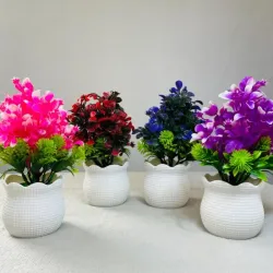 Plantica para decorar