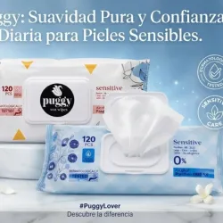 Toallitas Húmedas 120u