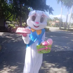 Bunny con una panetela y globos 