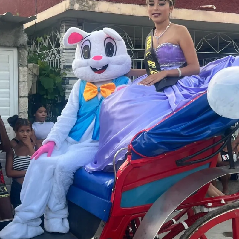 Bunny 