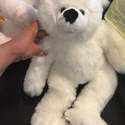 Osito Blanco 