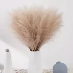 Espigas de pampa