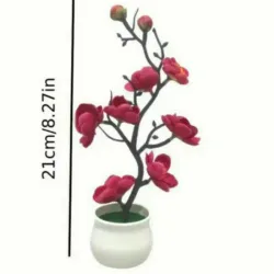 Planta