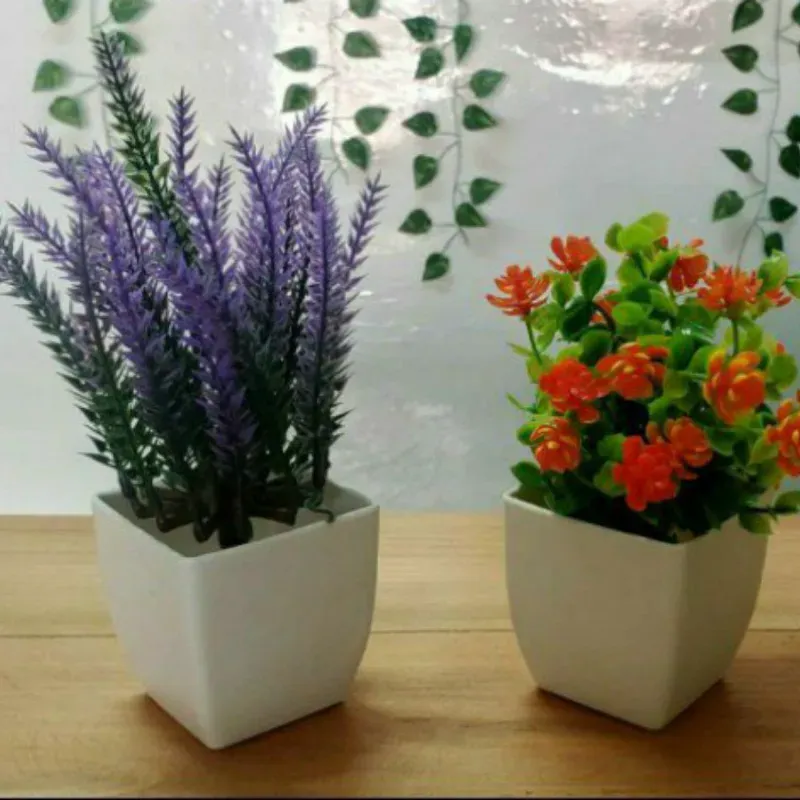 Planta 
