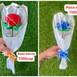 Rosa eterna