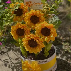 Girasoles