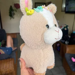 Llamita